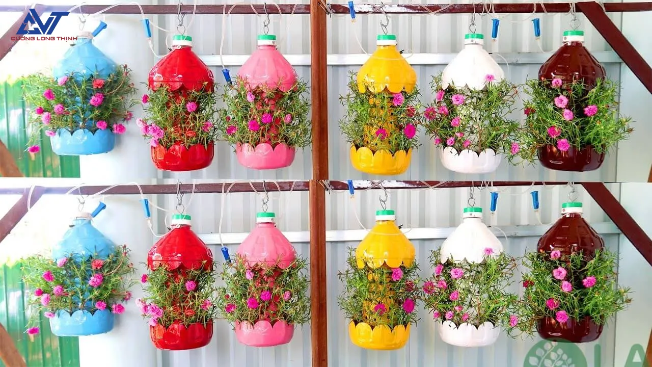 Chậu hoa mini từ chai nhựa